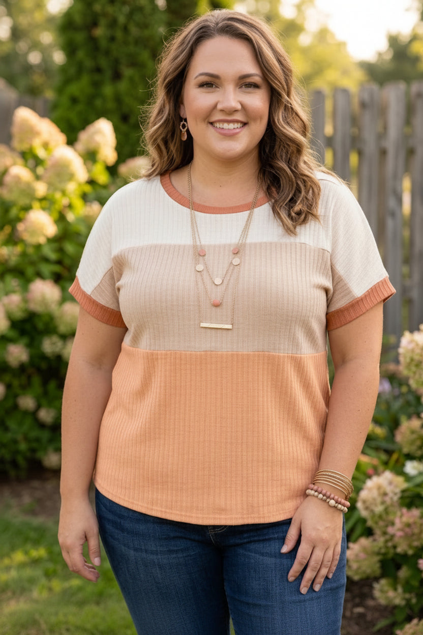 Blush Colorblock Ribbed Knit Top – Size XL